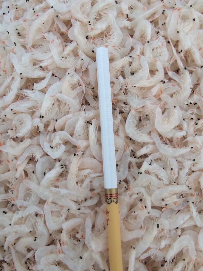 无盐淡干虾皮干度好色泽好质量杠杠滴适用商超电商