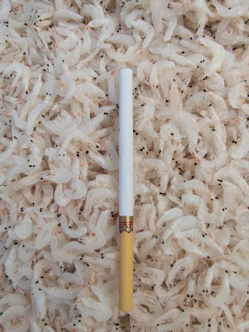 无盐淡干虾皮干度好色泽好质量杠杠滴适用商超电商