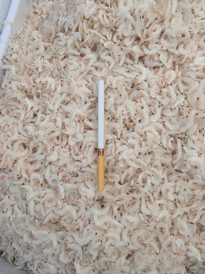 无盐淡干虾皮干度好色泽好质量杠杠滴适用商超电商