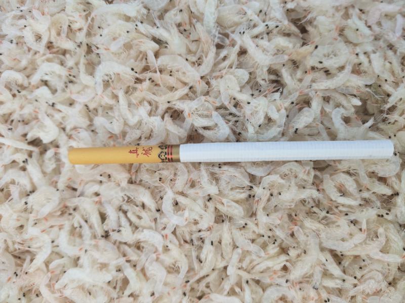 无盐淡干虾皮干度好色泽好质量杠杠滴适用商超电商