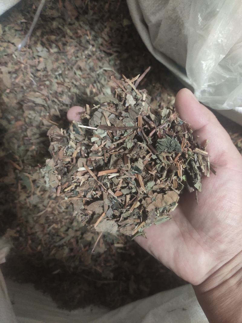 鱼腥草中药材中草药干净无杂质量大从优