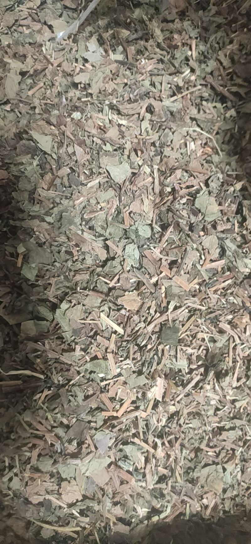 鱼腥草中药材中草药干净无杂质量大从优