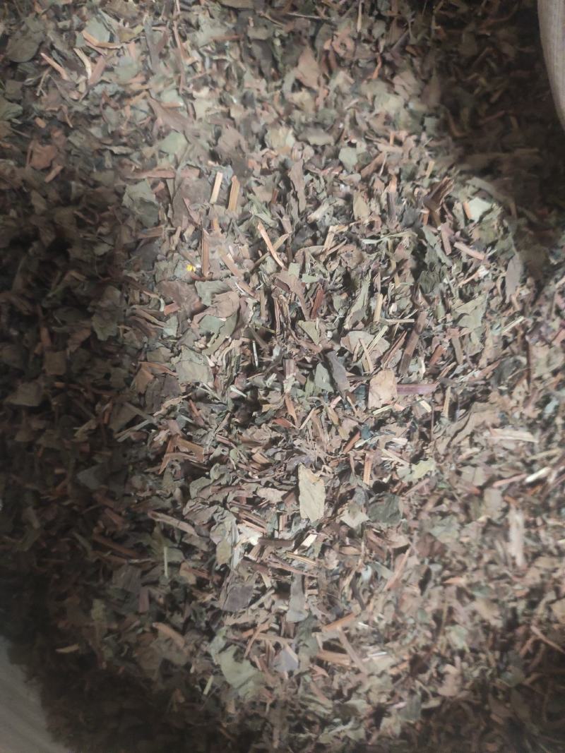 鱼腥草中药材中草药干净无杂质量大从优