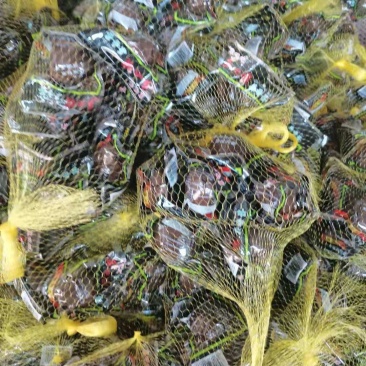 乡巴佬卤蛋，薄利多销，厂家直发，欢迎新老客户打扰，量大