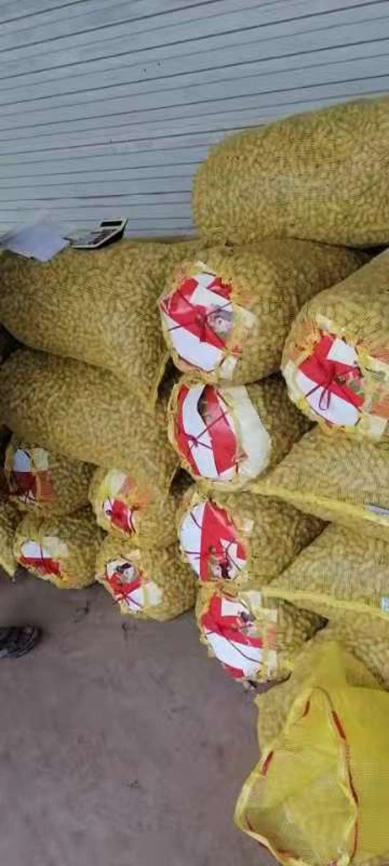 【精品】开封优质花生，白沙花生，全国发货，价格合理
