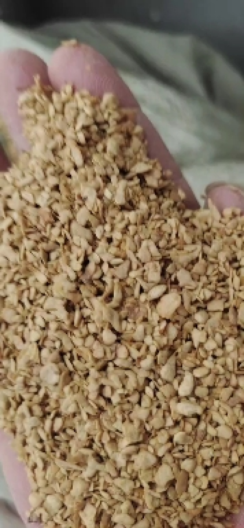 麸皮小料营养成分高，适合鸡鸭鹅猪牛羊养殖添加使用价格低