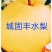 汉中丰水梨黄金梨套袋日供3O万斤】自产自销代发全国现货