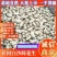 【精品】开封优质花生，白沙花生，全国发货，价格合理