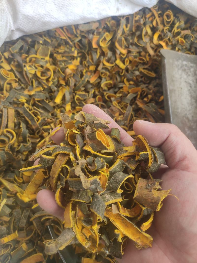 黄柏带皮干货黄柏川黄柏干货量大从优