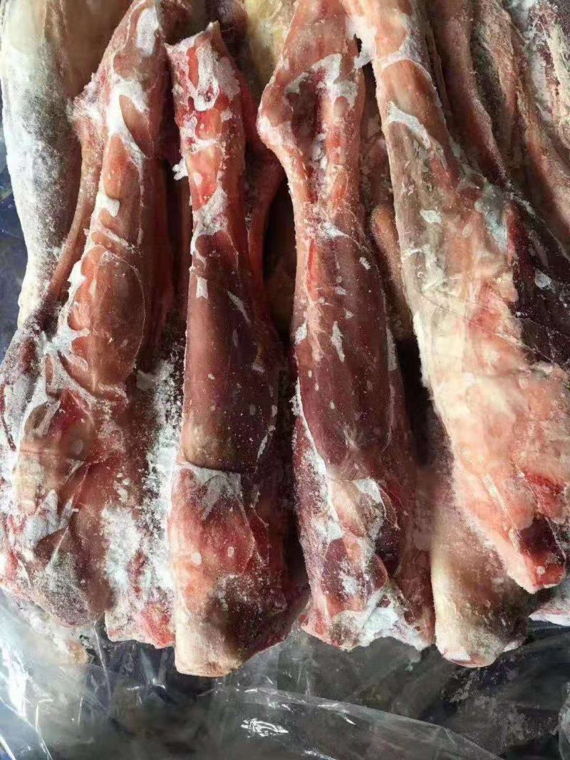 羔羊前棒，后棒肉多质量好，烧烤专用，一手货源，全国冷链发