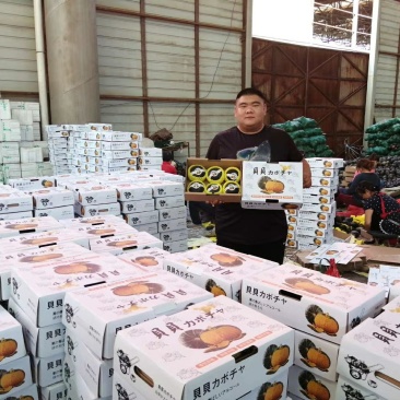 【一件代发】贝贝南瓜常年供应基地直发电商市场货大量上市