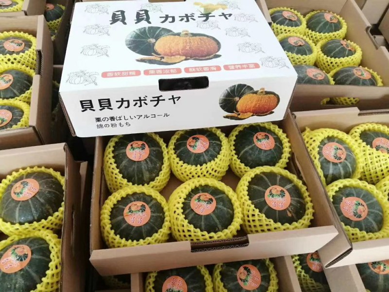 【一件代发】贝贝南瓜常年供应基地直发电商市场货大量上市