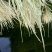 水上种菜无土栽培设备厂家直销鱼塘水面新型柔软种植定植浮板