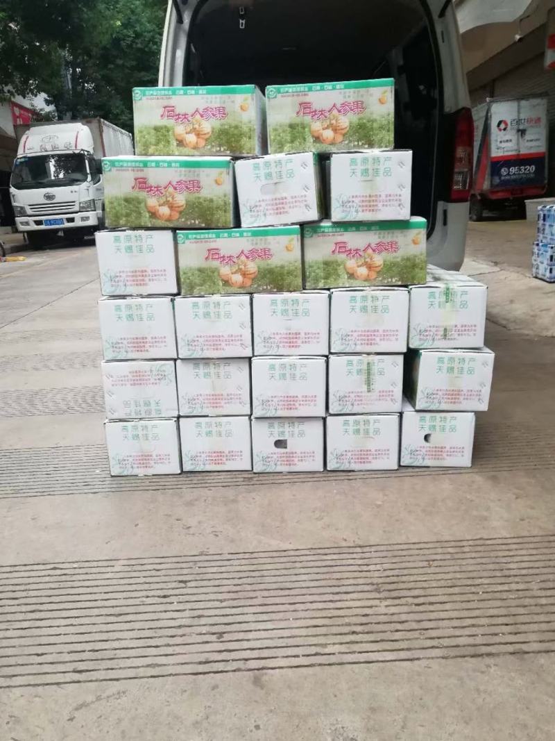 石林人参果开始上市了，累了一天，来一口甜甜的人参果