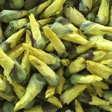 金花葵京兰葵黄秋葵花500克黄蜀葵花大蜀季花茶秋蓉葵花