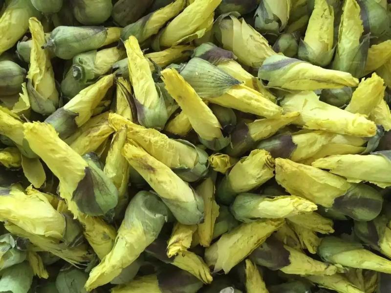 金花葵京兰葵黄秋葵花500克黄蜀葵花大蜀季花茶秋蓉葵花