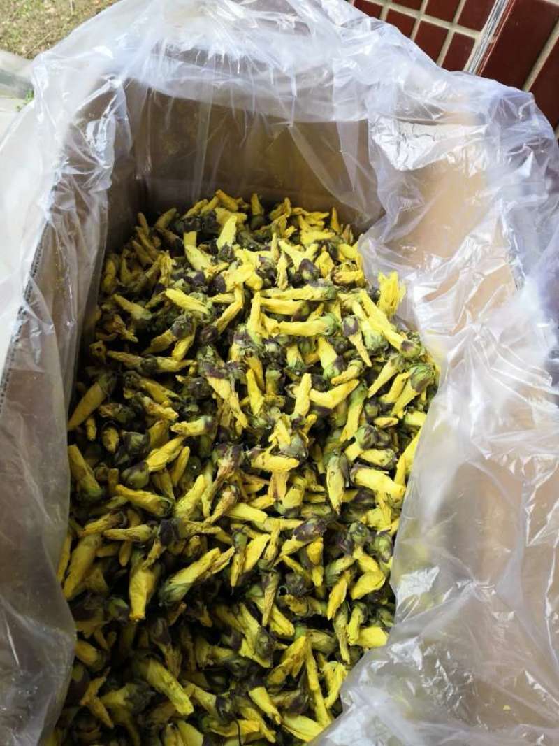 金花葵京兰葵黄秋葵花500克黄蜀葵花大蜀季花茶秋蓉葵花