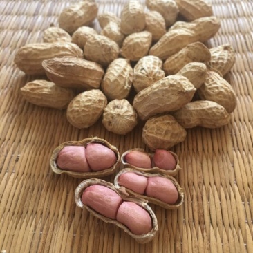 花生大果花生籽粒饱满大量供应大量批发规格品种齐全