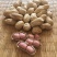 花生大果花生籽粒饱满大量供应大量批发规格品种齐全