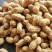 花生大果花生籽粒饱满大量供应大量批发规格品种齐全