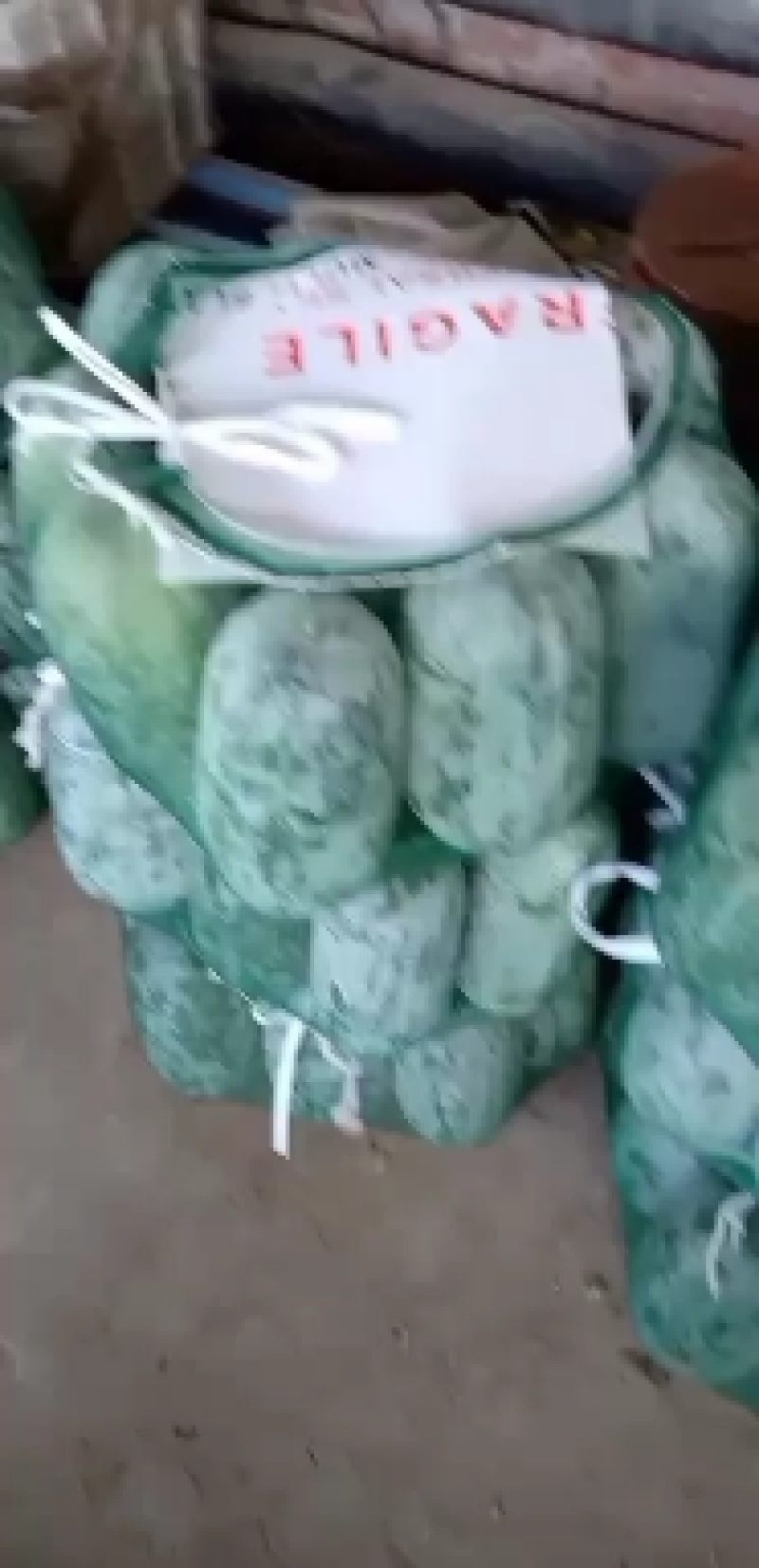 河北衡水故城宝华疏菜市场万亩冬瓜大量上市中