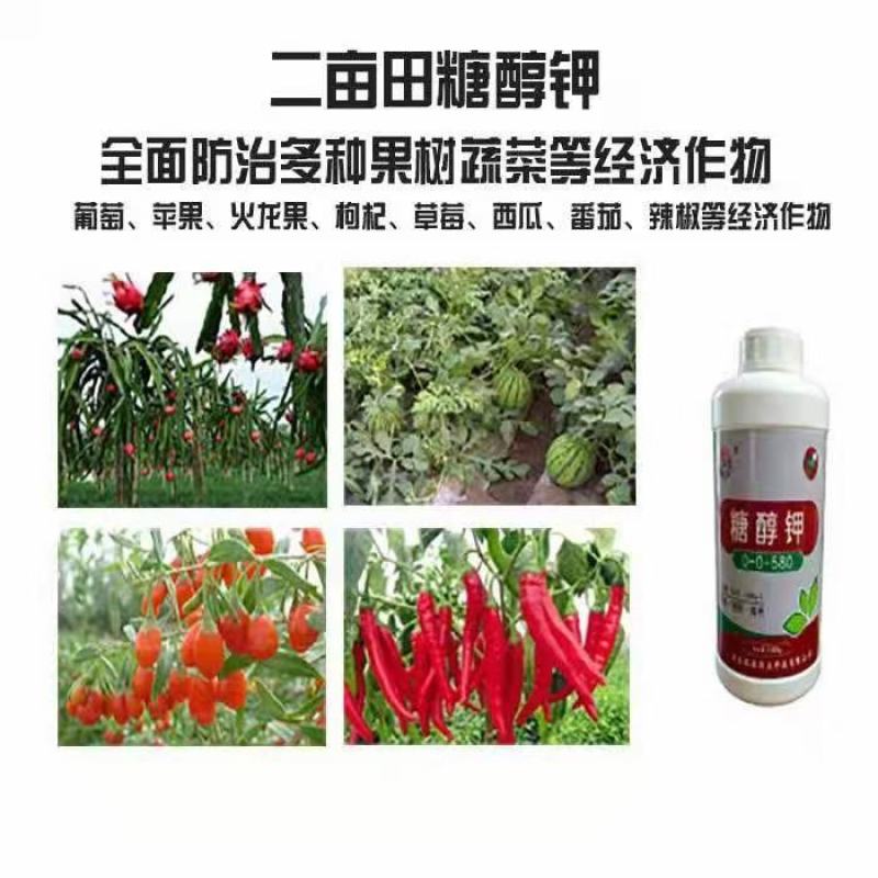 增加坐果提高品质增强抗保护果实增产增甜膨大看色