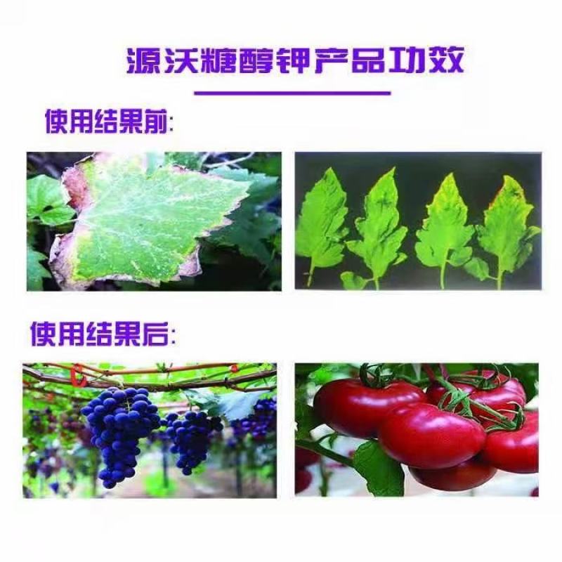 增加坐果提高品质增强抗保护果实增产增甜膨大看色