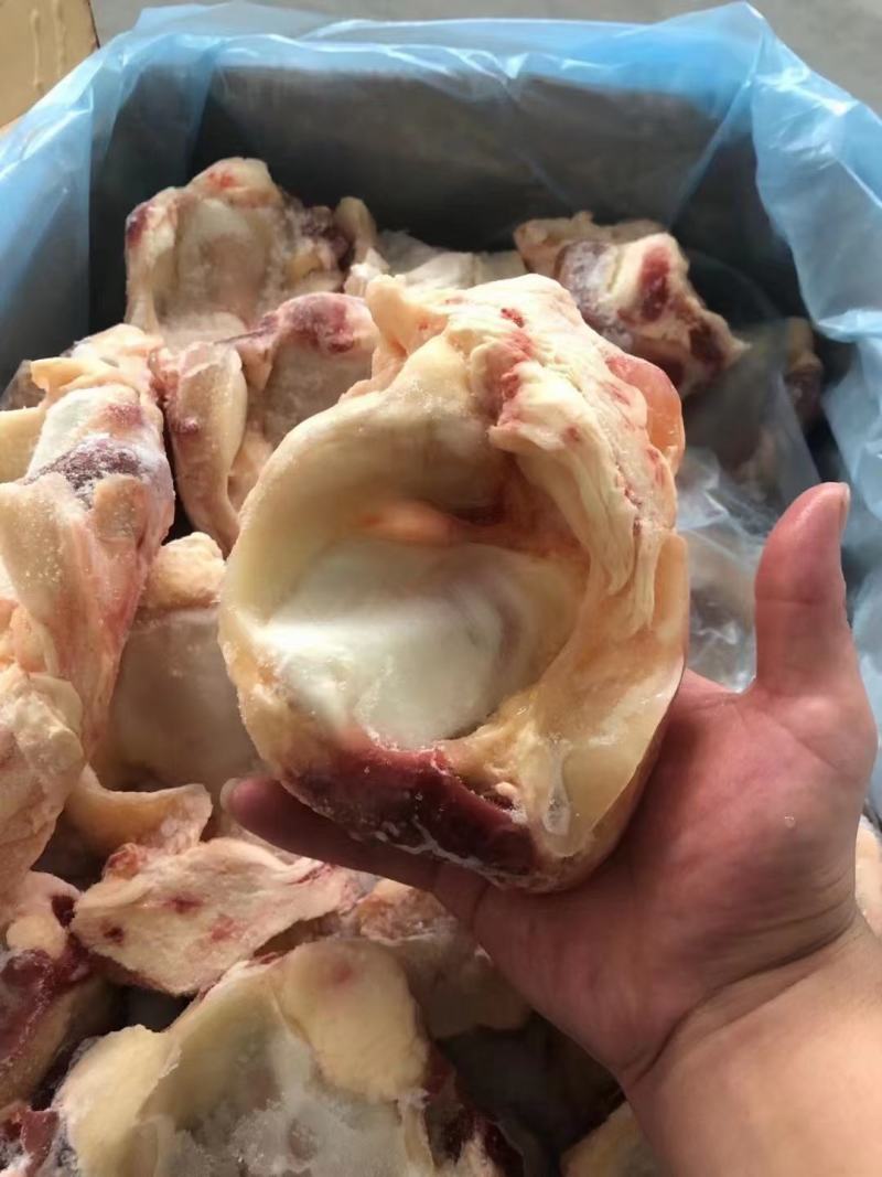 牛窝骨，筋多肉满，质量好，一手货源，全国冷链发货