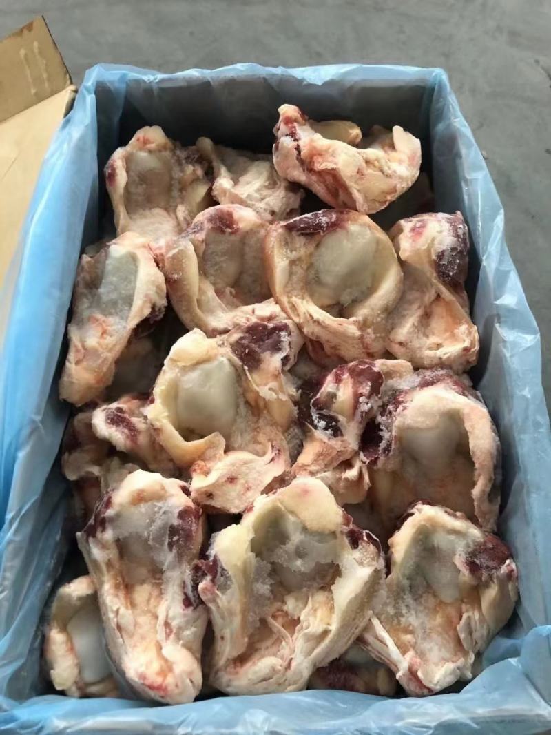 牛窝骨，筋多肉满，质量好，一手货源，全国冷链发货