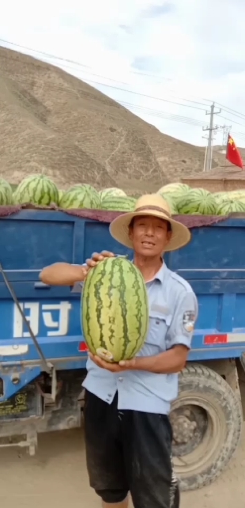 旱地硒砂瓜金花一号大量供货中