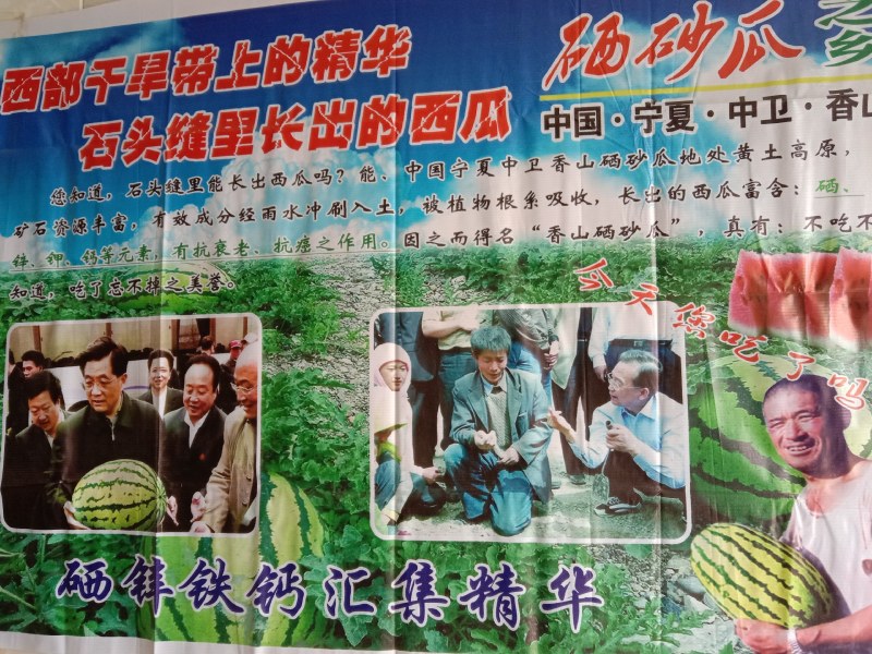 西瓜