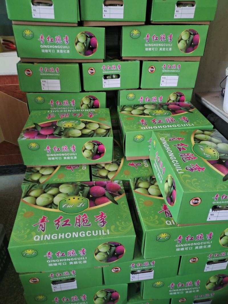 精品青脆李子青脆李子