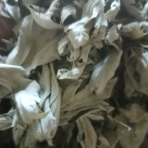 艾叶前期无枝干干度好无杂质疫情区域下单前请咨询物