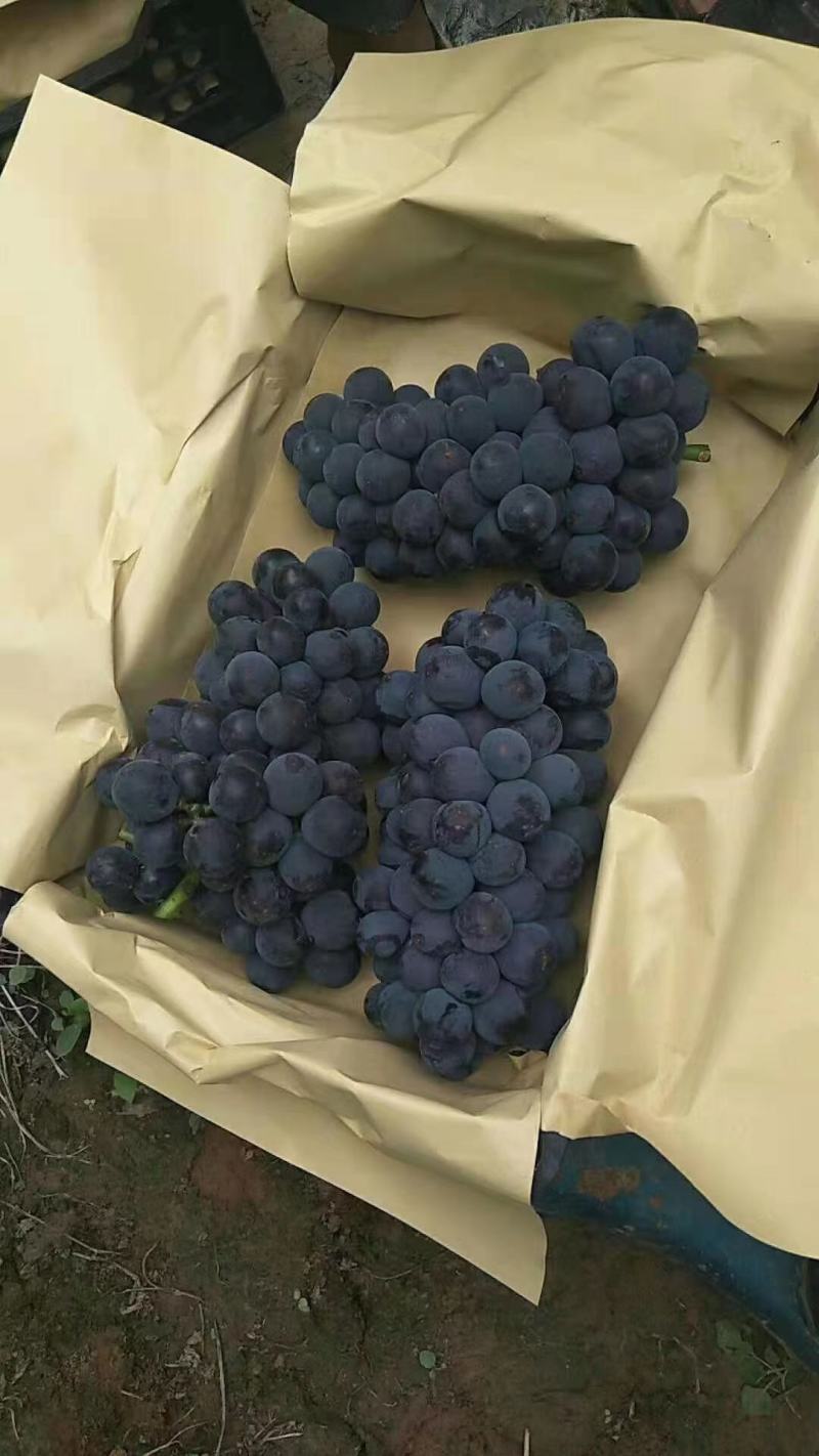 葡萄包装规格尺寸齐全河北厂家直发量大从优欢迎老板电话联系