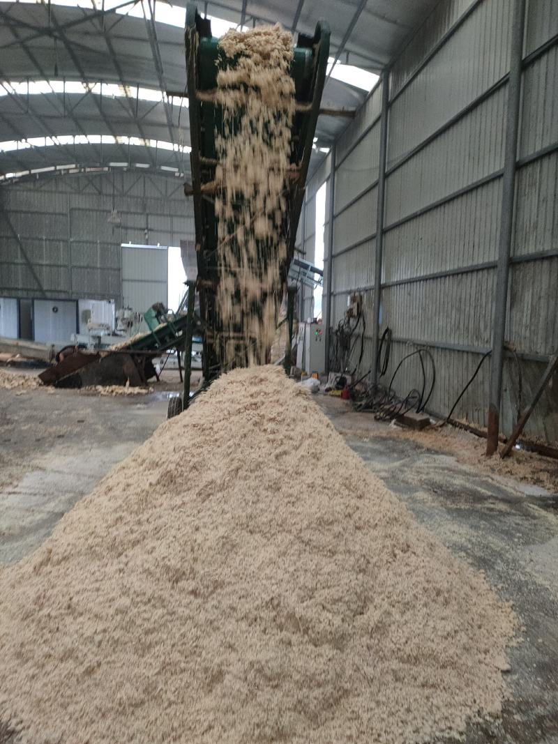 销售牛羊猪鹅生玉米饲料，产品口味香甜适口性好，可以长期储