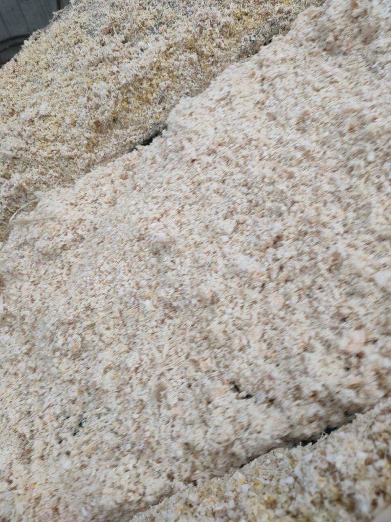 销售牛羊猪鹅生玉米饲料，产品口味香甜适口性好，可以长期储