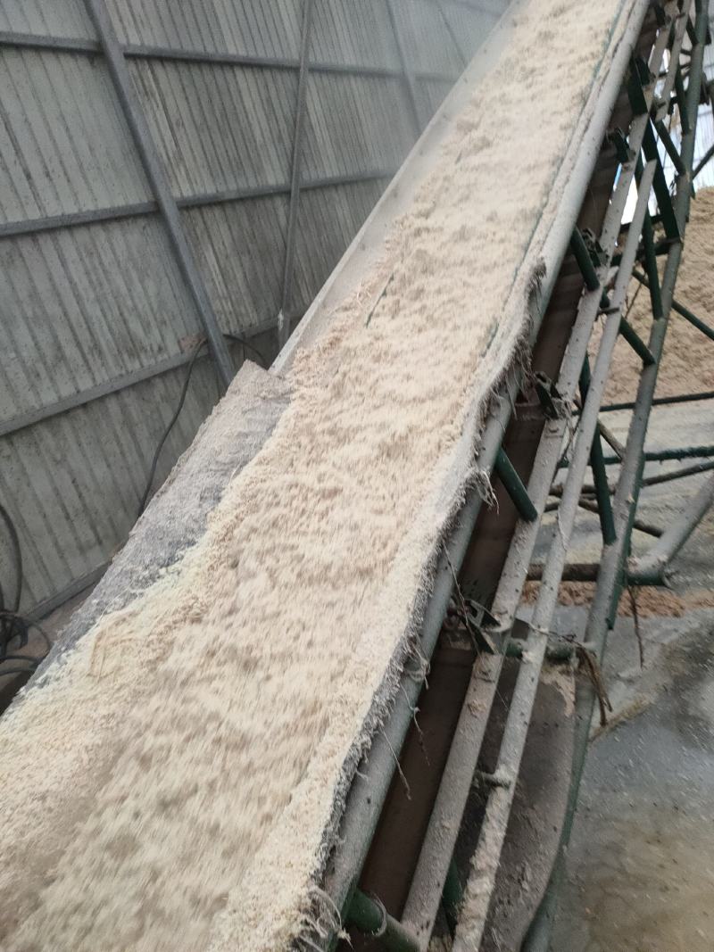 销售牛羊猪鹅生玉米饲料，产品口味香甜适口性好，可以长期储