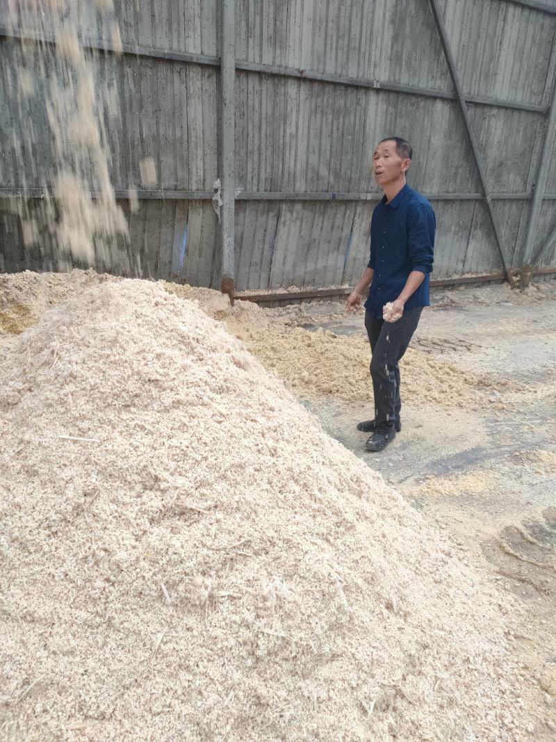 销售牛羊猪鹅生玉米饲料，产品口味香甜适口性好，可以长期储