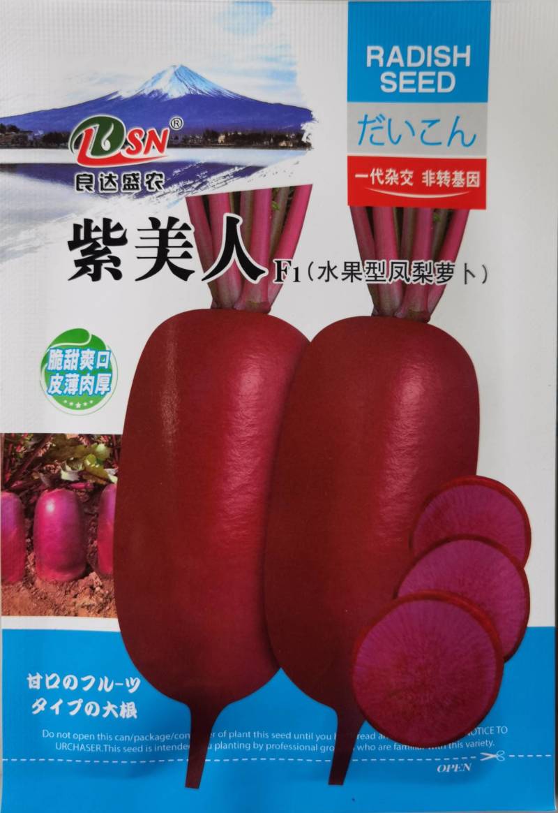 水果型凤梨萝卜种子日本引进杂交一代根茎叶均可食紫皮紫肉