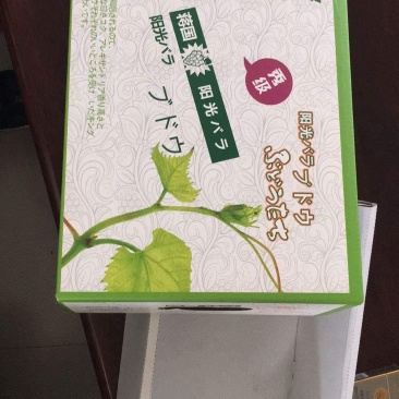 水果纸箱