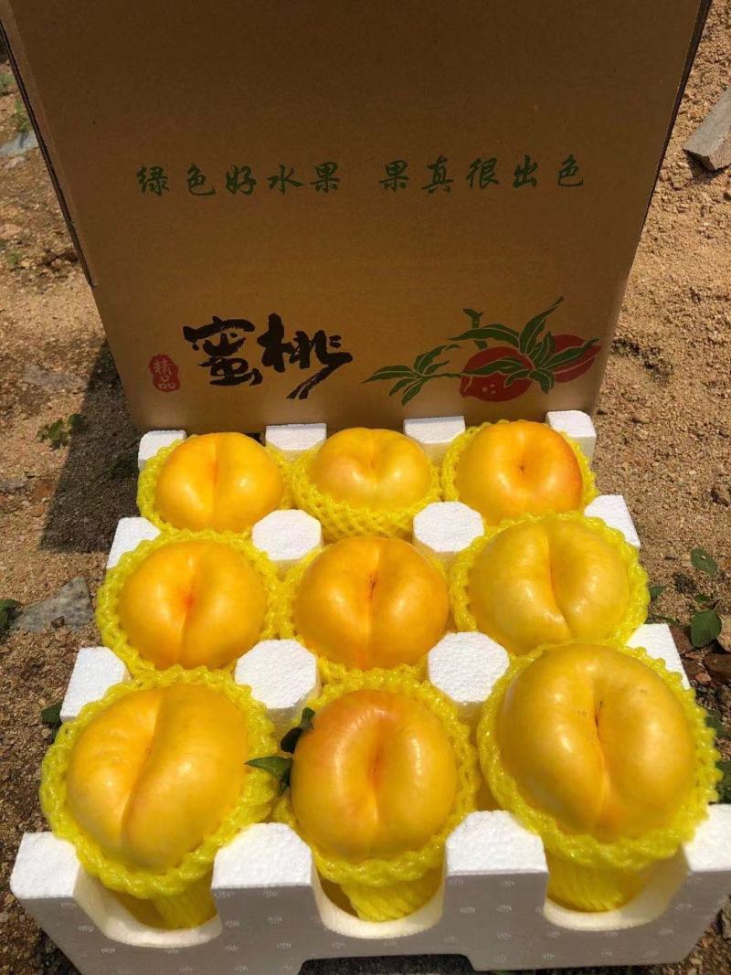 山东蒙阴黄油蟠桃新鲜桃子现摘现发包邮