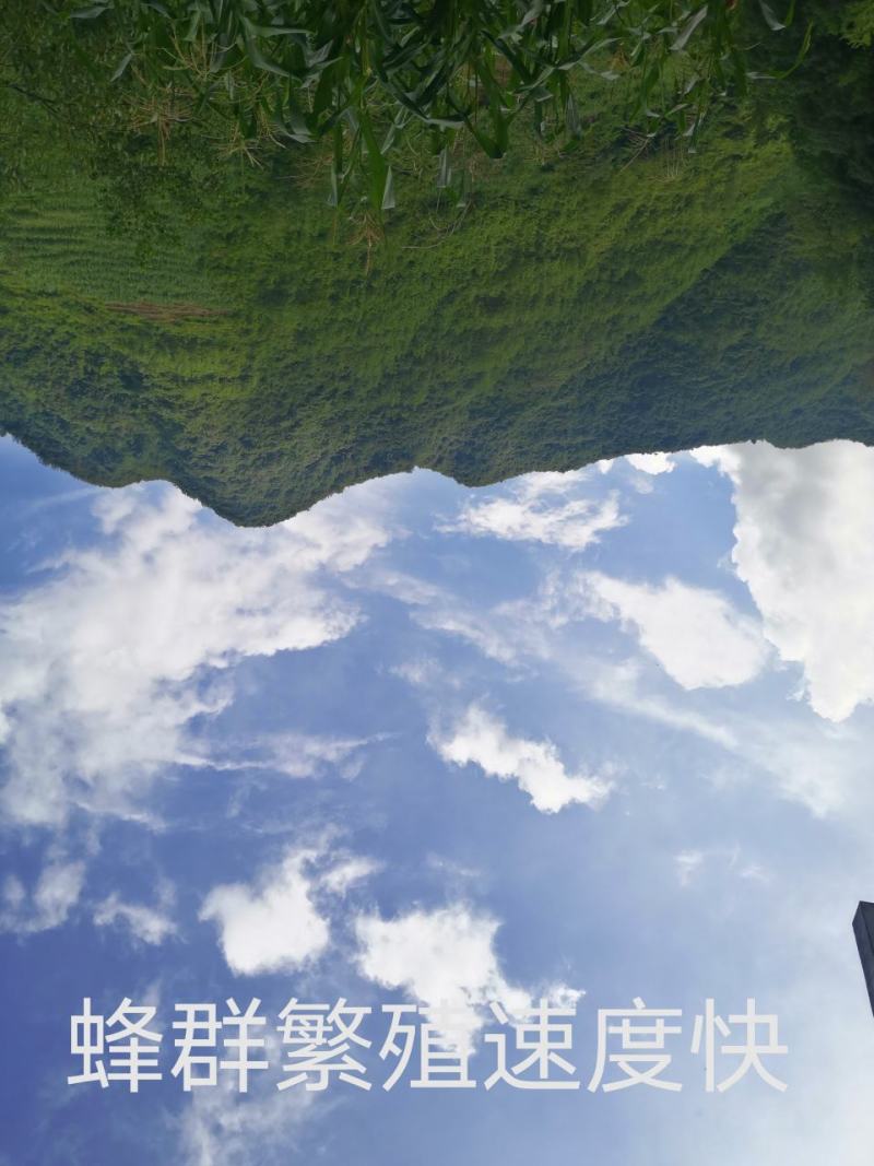 百花蜜农家特产蜂蜜，产地；贵州/省毕节市，大方县