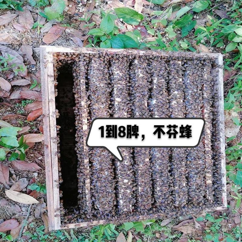 百花蜜农家特产蜂蜜，产地；贵州/省毕节市，大方县