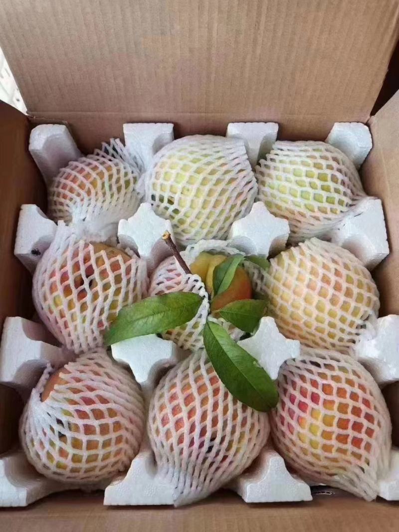 水果