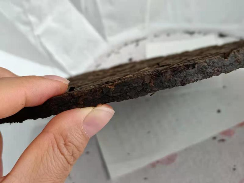 【整提出售】日常口粮布朗2019年布朗手撕饼熟茶
