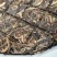 【整提出售】日常口粮布朗2019年布朗手撕饼生茶