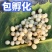 技术指导白玉蜗牛怀孕白玉蜗牛种蜗牛包孵化技术上门指