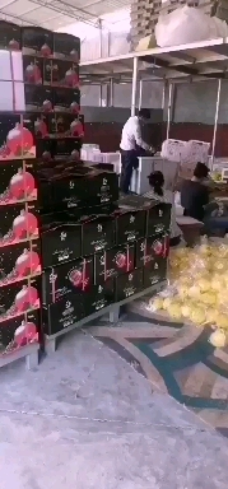 会理突尼斯软籽石榴硬籽