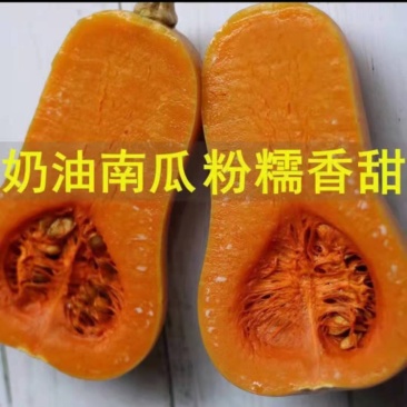 奶油南瓜，囗感好，干，面，甜，一手货源，产地直销。