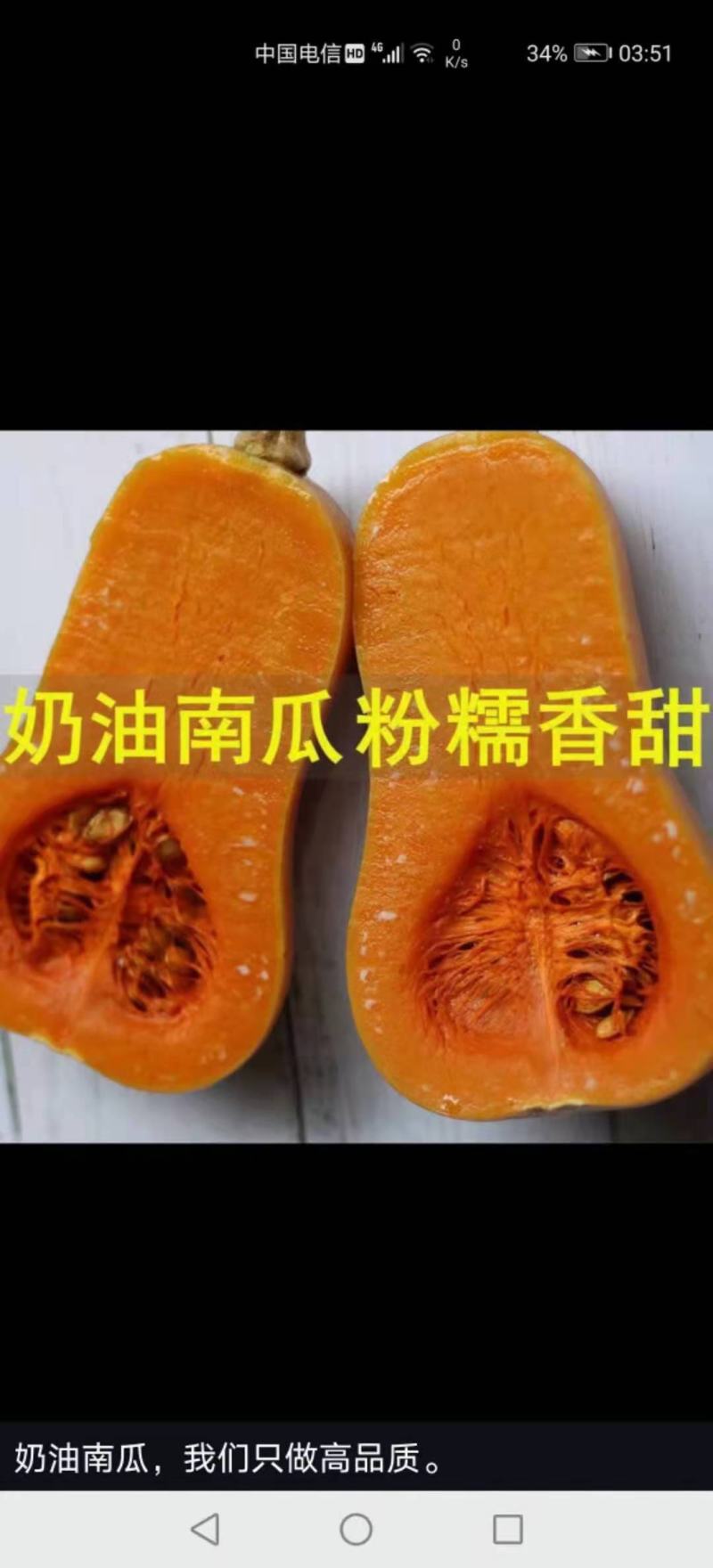 奶油南瓜，囗感好，干，面，甜，一手货源，产地直销。
